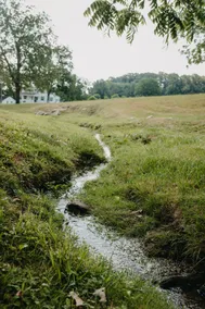 Peaceful Farm, Pond + Fire Pit Close to Lancaster - Image 5