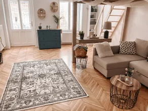 Owl Apartment - Image 2