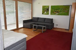 Apartment Hälin - Image 5