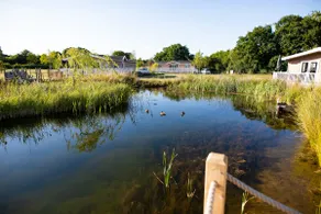Aspen Lodge: Luxury Waterside Lodge - Image 2