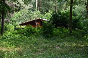The cozy forest cottage - Image 4