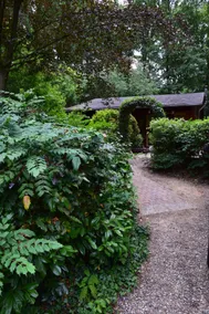 The cozy forest cottage - Image 3