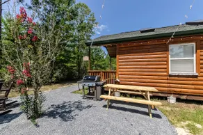 Tiny Cabin- Small Living, Big Memories! - Image 2