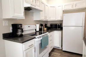 Shawnee Forest Retreat, Suite B - Image 4