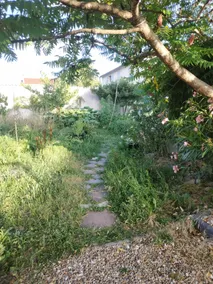 house - Image 2