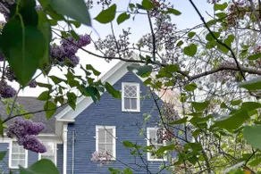 Blueberry House | Near Sebago Lake · Pet-Friendly - Image 4