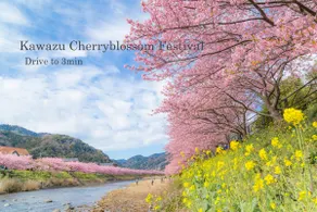 4LDK house with natural grass dog run! 10-minute walk to Imaihama Beach, Cherry Blossom Festival - Image 2