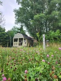 Harmony Hill Sanctuary Cottage - Image 2