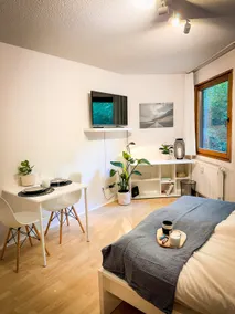 Nice apartment with a patio - Image 5