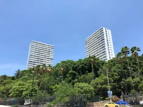 Acapulco Torreblanca Condominium - Image 4
