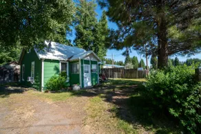 The Green House - Image 5
