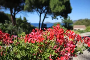 Casa del Mare 2 - Oasi verde a soli 100m dal mare! - Image 3