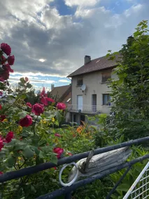 Large rural gîte in the mountains with small garden - Image 4