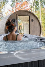 Moka Chalet | Spa | Sauna | In the Mountains | King size bed - Image 4