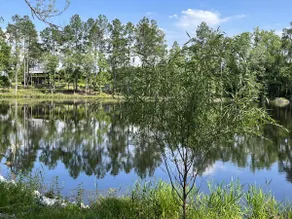 ”Blueberry Cottage ” - Image 3