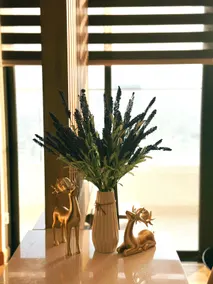 BBnB Home - Mai's House - Image 3