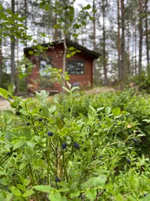 Nice cabin in the woods near water with canoe - Image 2