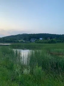 Małe Ziółko - Image 4