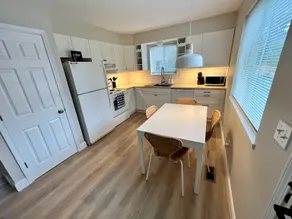 Newly Renovated Downtown Northville 2 BR House - Image 4
