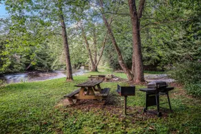 Moose Lodge on Toccoa River with Hot Tub - Image 4