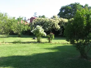 Hosted by Véro - Image 3