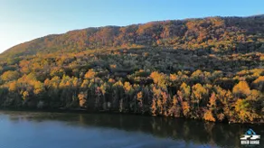 Tennessee River Gorge Getaway! - Image 4