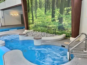 Bearmont- Pool, HotTub, FirePit, AC, Gym, Sauna - Image 3