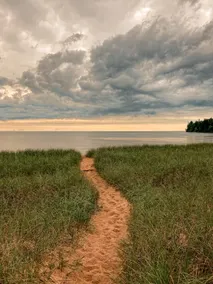 Romantic Forest Cabin, Sauna, Trail to Beach - Image 3