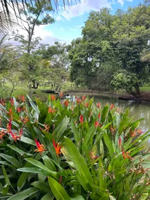 Liberdade Ranch - Image 4
