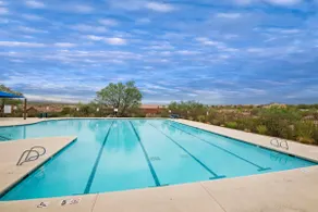 Modern Comfy 2BR2.5BA Home Garage Park Pool Access - Image 4