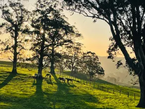 Heavenly views! - Image 3