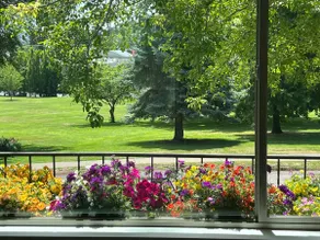 The Park House - Image 2