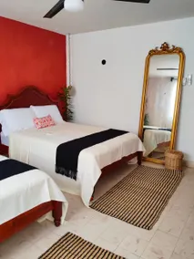 Casa Terra - Image 4