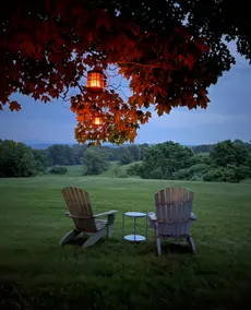 Where the Wild Things Are Author's Private Retreat - Image 4