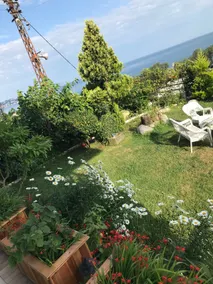 Detached Villa with Garden - Image 5