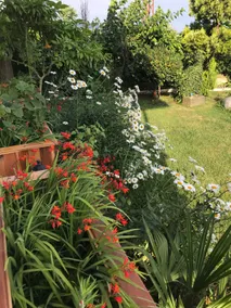 Detached Villa with Garden - Image 4