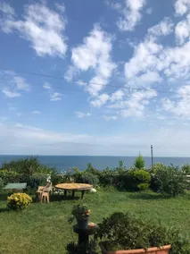 Detached Villa with Garden - Image 3