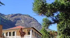 Araucárias do Pedrão Site - Image 5