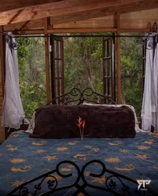 Rustic Retreat, full house - Image 3