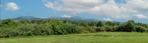 Blueberry Hill Cottage, Lexington Virginia - Image 5
