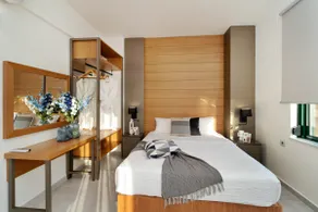 Elia Beach Deluxe Apartment - Image 4