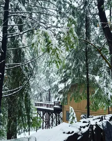 Peaceful 3BR lodge between Kirkwood/Jackson - Image 3