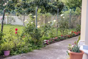 citrus house kalamata - Image 4