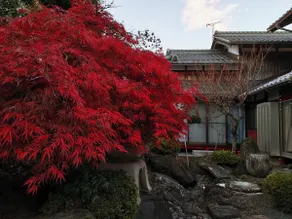 Japanese-style courtyard mansion villa, maximum 15 people, can speak Chinese - Image 3