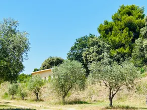 Cottage overlooking the vineyards - Image 2