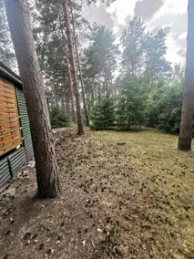 Sosnowy Zakątek - Image 4