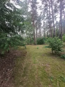 Sosnowy Zakątek - Image 5
