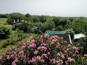 Apartma Oleander - Image 4