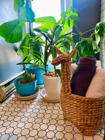 The Lott Nest; A Hideaway in the City - Image 2
