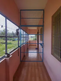 Pink House- 1BHK with a view of Arunachala - Image 2
